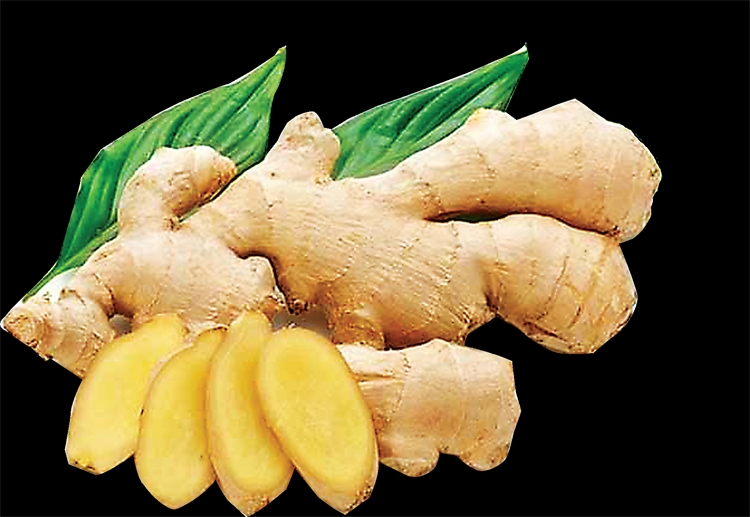 Mứt gừng Kim Long: Nét văn hóa ẩm thực đặc trưng của đất Cố đô