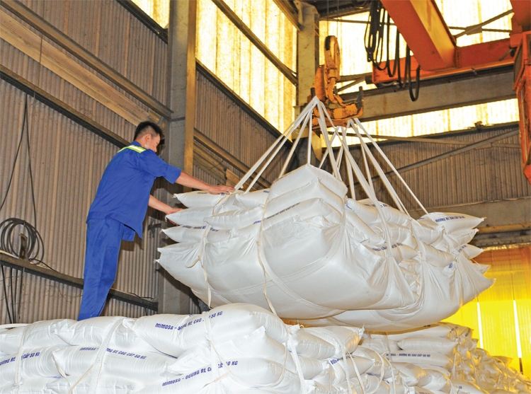 Bài học thị trường và dự cảm trước thềm Xuân mới Bài học thị trường và dự cảm trước thềm Xuân mới