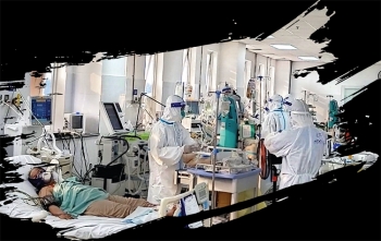 Hoa vẫn nở trong bão dịch