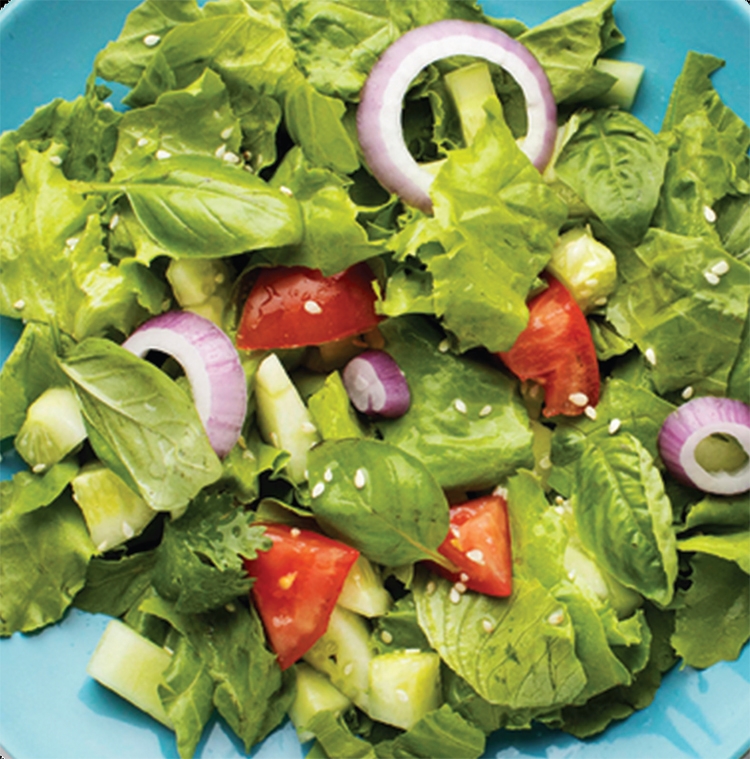 Món nộm Việt Nam