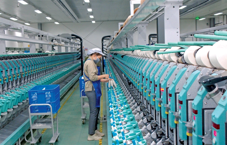 Giấc mơ lớn từ sợi gai nhỏ Giấc mơ lớn từ sợi gai nhỏ