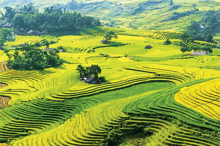 Đánh thức Bát Xát Đánh thức Bát Xát