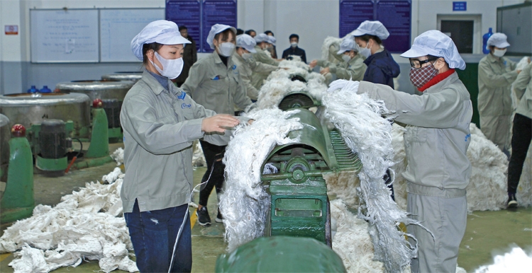 Giấc mơ lớn từ sợi gai nhỏ Giấc mơ lớn từ sợi gai nhỏ