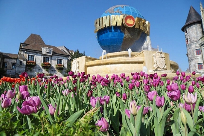 me mai giua doi tulip ngat ngao huong sac tai ba na