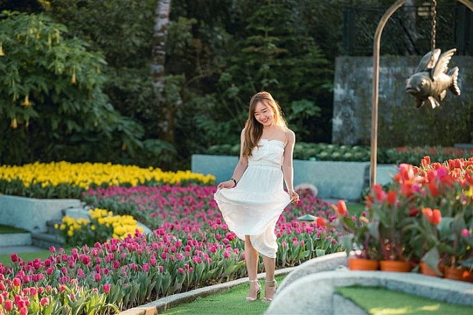 me mai giua doi tulip ngat ngao huong sac tai ba na