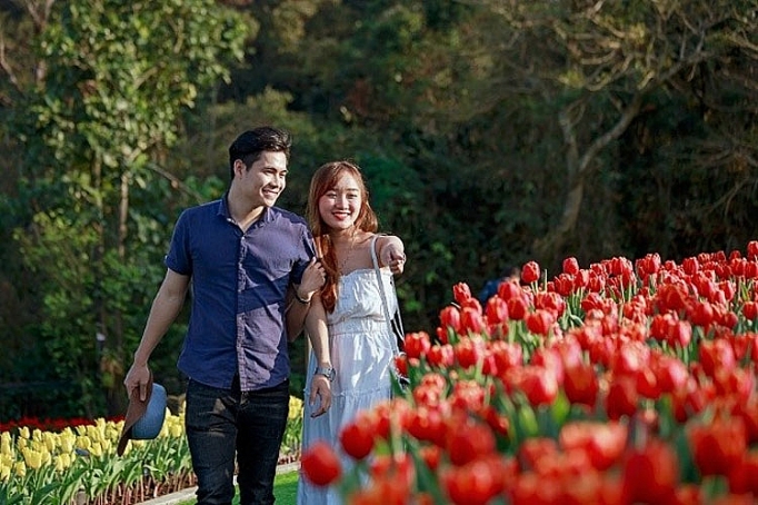 me mai giua doi tulip ngat ngao huong sac tai ba na