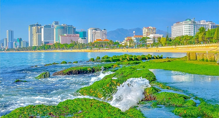 Bãi rêu xanh- Hứa hẹn điểm check-in độc đáo trên vịnh Nha Trang Bãi rêu xanh- Hứa hẹn điểm check-in độc đáo trên vịnh Nha Trang