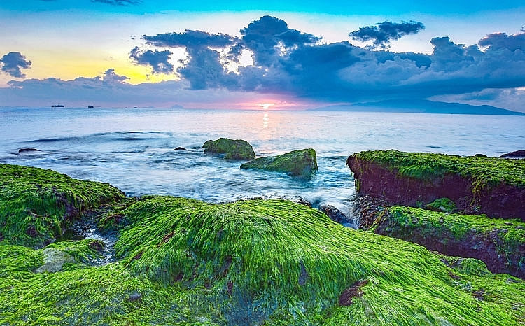 Bãi rêu xanh- Hứa hẹn điểm check-in độc đáo trên vịnh Nha Trang Bãi rêu xanh- Hứa hẹn điểm check-in độc đáo trên vịnh Nha Trang