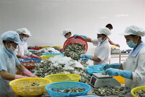 Tiếp đà phát triển, ngành tôm Việt đón sóng cơ hội trong năm 2022 hình ảnh 2 Tiep da phat trien, nganh tom Viet don song co hoi trong nam 2022 hinh anh 2