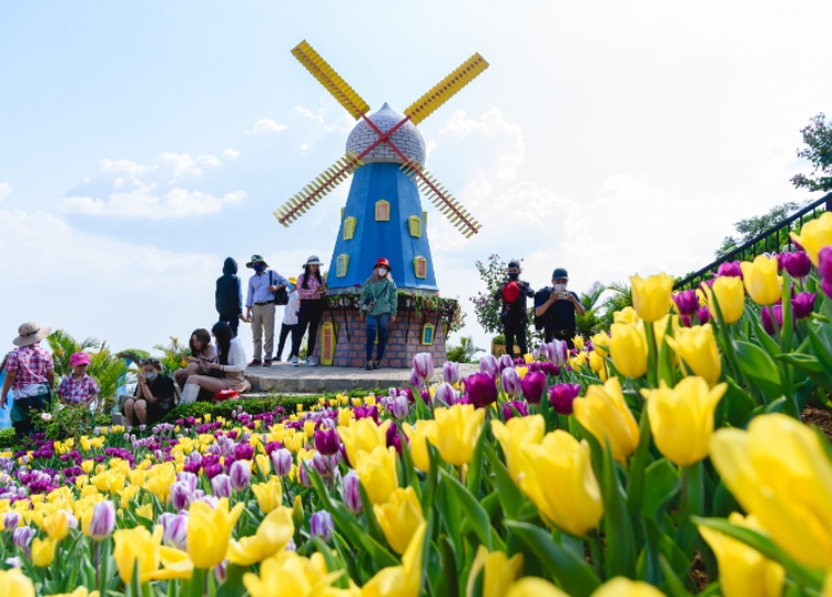 Khách đến núi Bà Đen Tây Ninh tăng mạnh, du lịch cả nước đón nhiều tín hiệu ấm Khách đến núi Bà Đen Tây Ninh tăng mạnh, du lịch cả nước đón nhiều tín hiệu ấm