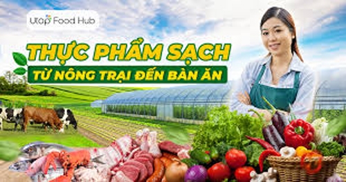 FoodHub.vn - Nền tảng thực phẩm sạch chuyên dụng cho người Việt