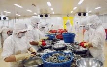 Đẩy mạnh xuất khẩu nông sản chính ngạch sang Trung Quốc