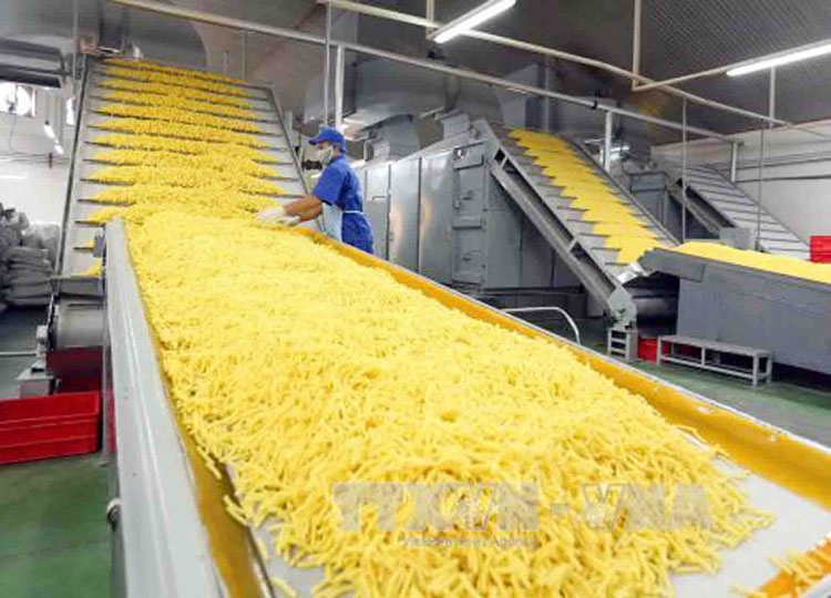 Tôn vinh sản phẩm, dịch vụ thương hiệu Việt tiêu biểu ton vinh san pham dich vu thuong hieu viet tieu bieu