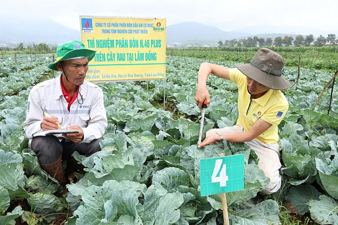 trung tam nghien cuu phat trien dam ca mau duoc cap phep khao nghiem phan bon