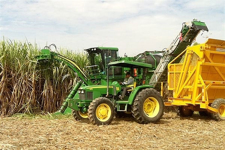 Thị trường đường thế giới vụ 2020 - 2021 sẽ thiếu hụt 4.8 triệu tấn, cơ hội nào cho Việt Nam? Thị trường đường thế giới vụ 2020 - 2021 sẽ thiếu hụt 4.8 triệu tấn, cơ hội nào cho Việt Nam?