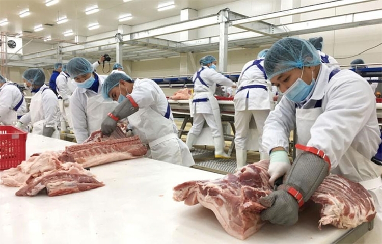 Mặt bằng giá đang chịu áp lực Mặt bằng giá đang chịu áp lực