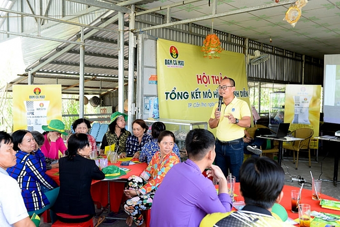 dam ca mau no luc hoan thanh cac chi tieu san xuat kinh doanh trong quy i2019