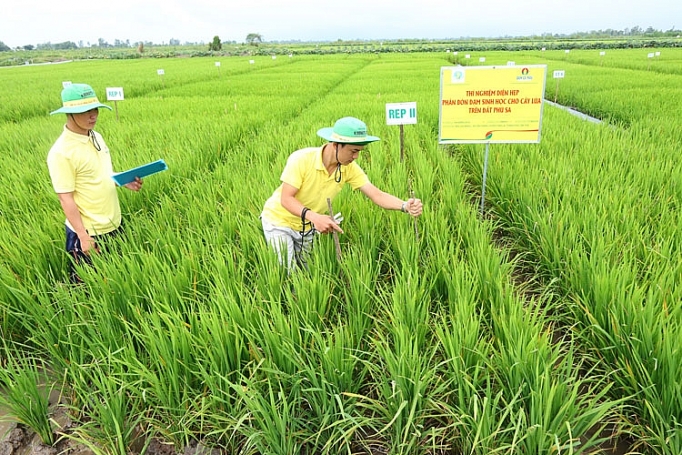 dam ca mau no luc hoan thanh cac chi tieu san xuat kinh doanh trong quy i2019
