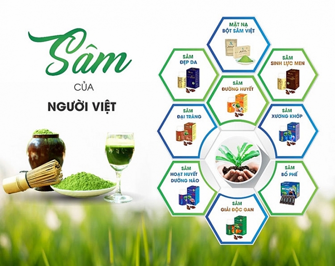 hanh trinh khoi nghiep tu cay sa sam viet