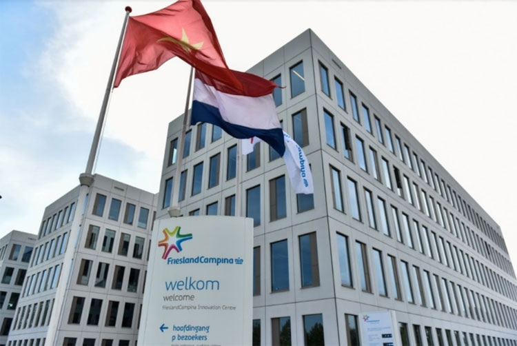 Nỗ lực thăng hạng của thương hiệu sữa có lịch sử 150 năm