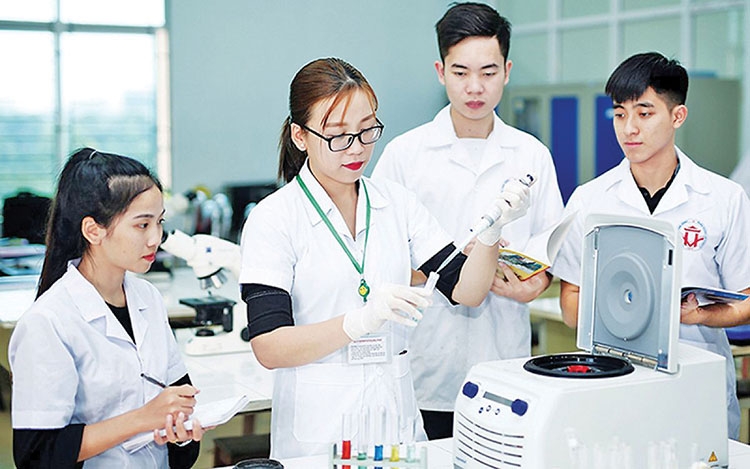 Hiện tượng di cư và hiệu ứng tích cực