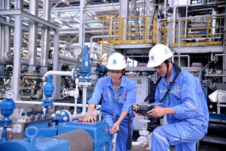 Phân bón Cà Mau lần thứ tư nhận giải thưởng uy tín Sao Vàng đất Việt Phân bón Cà Mau lần thứ tư nhận giải thưởng uy tín Sao Vàng đất Việt