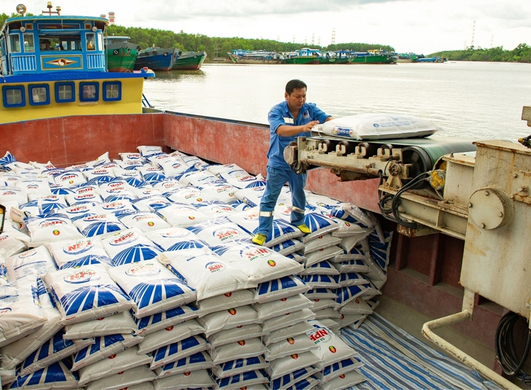 Phân bón Cà Mau lần thứ tư nhận giải thưởng uy tín Sao Vàng đất Việt Phân bón Cà Mau lần thứ tư nhận giải thưởng uy tín Sao Vàng đất Việt