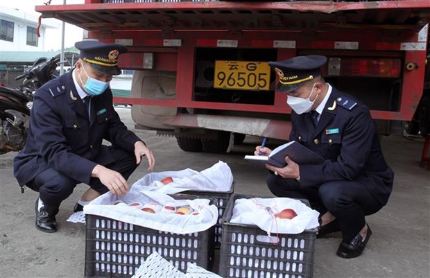 Thu ngân sách từ xuất nhập khẩu tăng hơn 22% trong quý 1 năm 2022 hình ảnh 1 Thu ngan sach tu xuat nhap khau tang hon 22% trong quy 1 nam 2022 hinh anh 1