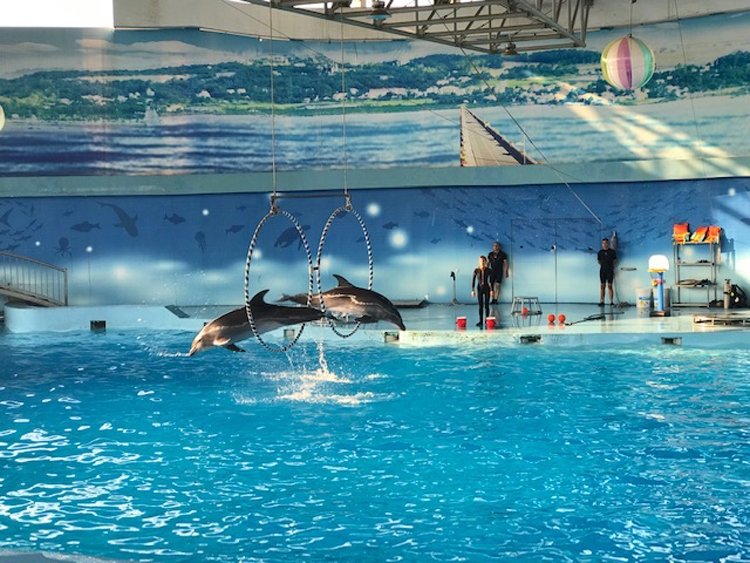 Hà Nội quảng bá du lịch “tại chỗ” Hà Nội quảng bá du lịch “tại chỗ”