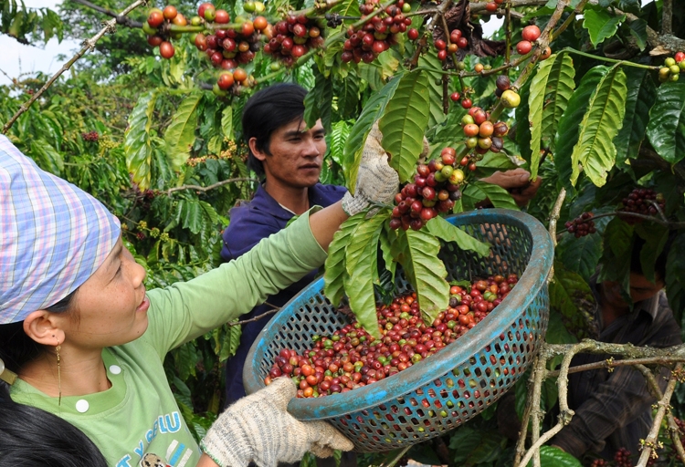 Xuất nhập khẩu năm 2022: Tận dụng hiệu quả các FTA Xuất nhập khẩu năm 2022: Tận dụng hiệu quả các FTA