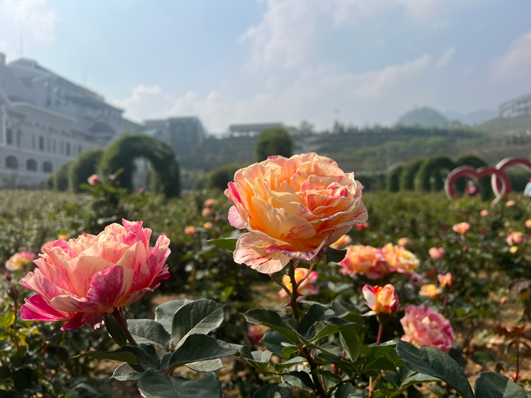 Du lịch 30/4-1/5, nhiều điểm đến tung sản phẩm mới độc đáo Du lịch 30/4-1/5, nhiều điểm đến tung sản phẩm mới độc đáo