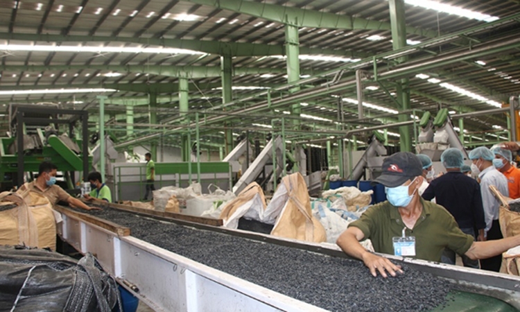 Đầu tư nhà máy tái chế nhựa và nỗ lực giảm 70.000 tấn rác nhựa sau một thập kỷ của Tân Hiệp Phát Đầu tư nhà máy tái chế nhựa và nỗ lực giảm 70.000 tấn rác nhựa sau một thập kỷ của Tân Hiệp Phát