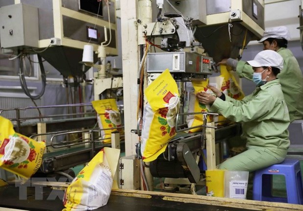 Tận dụng cơ hội để gạo Việt chiếm lĩnh thị trường thế giới tốt hơn hình ảnh 2 Tan dung co hoi de gao Viet chiem linh thi truong the gioi tot hon hinh anh 2