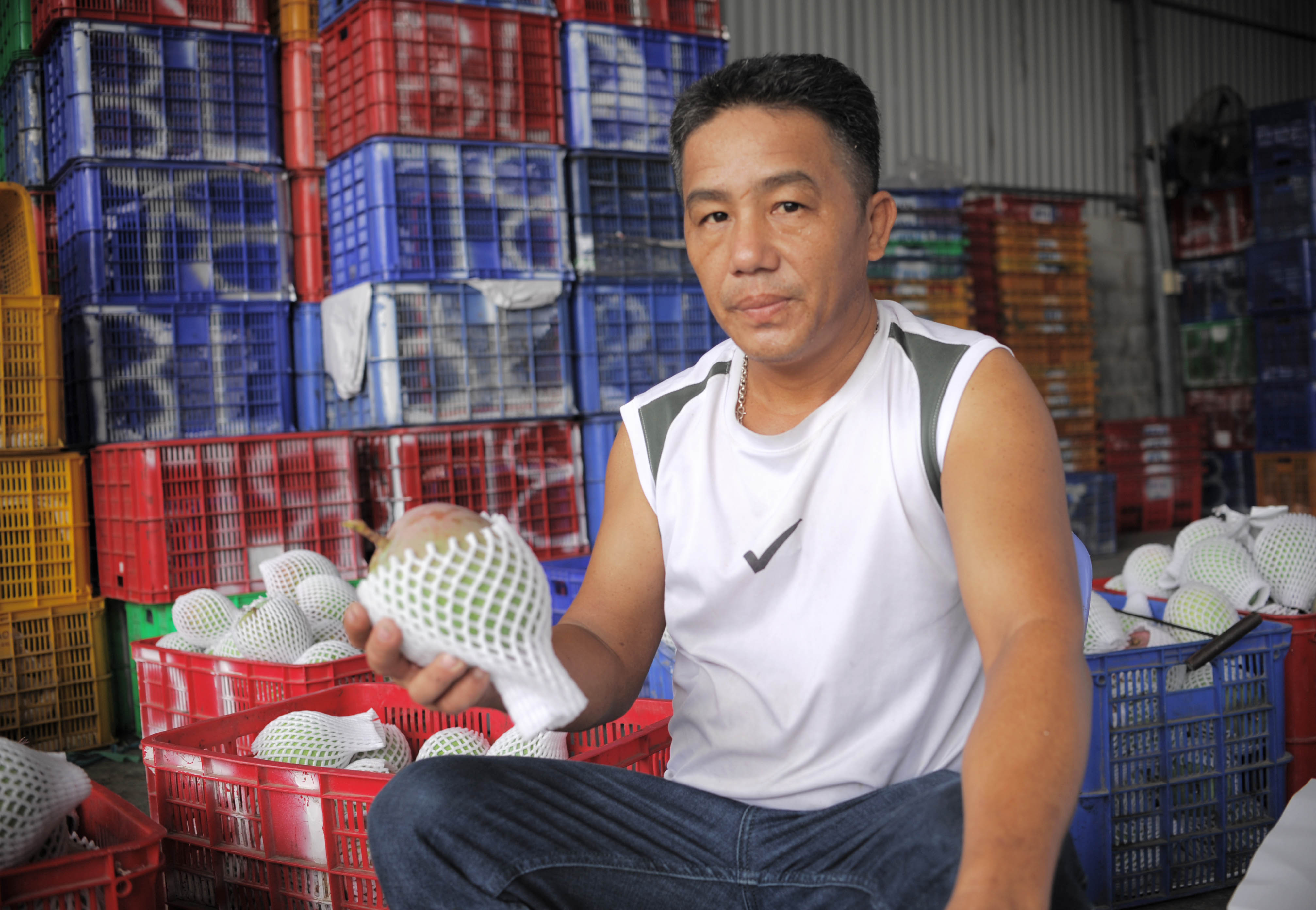 C&amp;aacute;c vựa xo&amp;agrave;i tại huyện Cam L&amp;acirc;m cho biết, hiện xo&amp;agrave;i &amp;Uacute;c b&amp;aacute;n nội địa n&amp;ecirc;n gi&amp;aacute; kh&amp;ocirc;ng cao. (Ảnh: Trung Vũ)