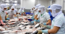 Trung Quốc siết chặt kiểm dịch, thủy sản Việt Nam xuất khẩu vẫn tăng gấp đôi