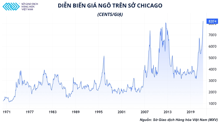 Ngành chăn nuôi trong nước và sự phụ thuộc vào thời tiết bên kia đại dương Ngành chăn nuôi trong nước và sự phụ thuộc vào thời tiết bên kia đại dương