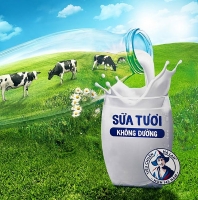 Có thực sự tồn tại sữa tươi “Tiêu chuẩn Hà Lan