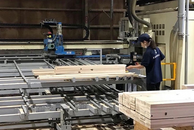 cong nghiep ho tro nganh che bien go su quan tam cua malaysia va indonesia