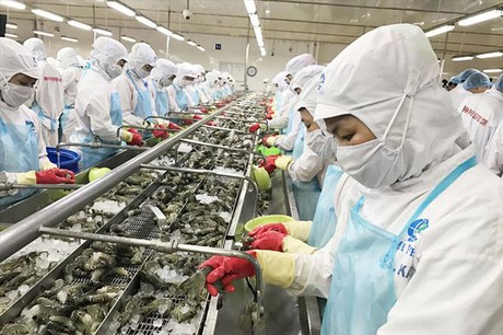 Nhiều mặt hàng của Việt Nam sẽ có lợi thế vào EU nhưng cũng sẽ chịu cạnh tranh ngay chính trê sân nhà