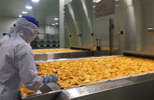 Mở cánh cửa lớn sang EU: Rộng đường cho nông nghiệp - Ảnh 1. Mở cánh cửa lớn sang EU: Rộng đường cho nông nghiệp - Ảnh 1.