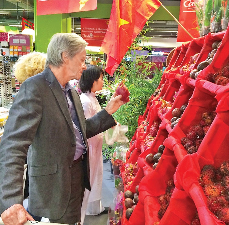 Tham tán thương mại: Cầu nối đưa hàng Việt ra thế giới Tham tán thương mại: Cầu nối đưa hàng Việt ra thế giới