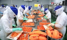 Xuất khẩu nông sản tăng vọt, lộ diện nhóm sản phẩm vượt mốc 1 tỷ USD