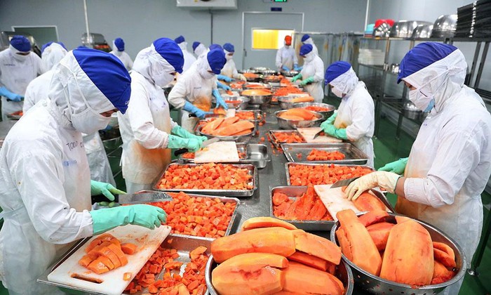 Xuất khẩu nông sản tăng vọt, lộ diện nhóm sản phẩm vượt mốc 1 tỷ USD