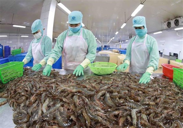 Doanh nghiệp thủy sản tham vọng với mục tiêu doanh thu nghìn tỷ đồng hình ảnh 2 Doanh nghiep thuy san tham vong voi muc tieu doanh thu nghin ty dong hinh anh 2