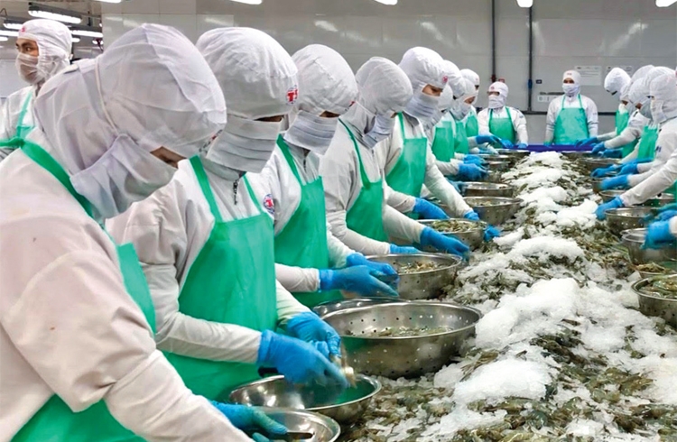 Hướng tới mục tiêu xuất nhập khẩu bền vững Hướng tới mục tiêu xuất nhập khẩu bền vững