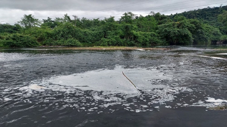 Thanh Hóa: Xưởng bột giấy hoạt động “chui” chính quyền không biết hay làm ngơ ? Thanh Hóa: Xưởng bột giấy hoạt động “chui” chính quyền không biết hay làm ngơ ?