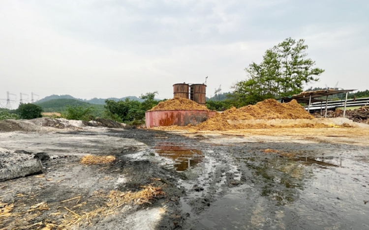 Thanh Hóa: Xưởng bột giấy hoạt động “chui” chính quyền không biết hay làm ngơ ? Thanh Hóa: Xưởng bột giấy hoạt động “chui” chính quyền không biết hay làm ngơ ?