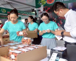 Vải thiều chinh phục thị trường bằng chất lượng, thương hiệu