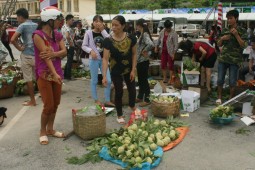 Xây dựng thương hiệu, mở rộng thị trường: Nâng giá trị sản phẩm Na Chi Lăng
