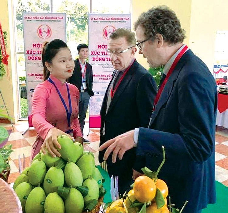 cau noi giup nong san vuon xa